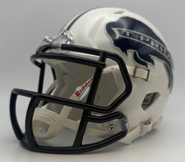 Tempe Buffaloes HS (AZ) 2015